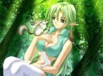  breasts brown_eyes cleavage elf forest green_hair long_hair nature navel pointy_ears smile 
