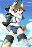  absurdres angry animal_ears brown_eyes brown_hair drum_magazine gun highres machine_gun miyafuji_yoshika no_pants official_art scan school_swimsuit school_uniform short_hair solo strike_witches striker_unit swimsuit swimsuit_under_clothes tail takamura_kazuhiro type_99_cannon weapon world_witches_series 