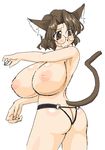  animal_ears ass bare_shoulders blush breasts brown_eyes brown_hair cat_ears glasses huge_breasts looking_back lute_(apocalypselibrary) nipples short_hair solo tail topless 