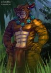  bulge domestic_cat felid feline felis male mammal masmas muscular pantherine solo tiger 