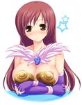  alchemist_(ragnarok_online) areolae bad_id bad_pixiv_id bare_shoulders blush breast_hold breasts brown_eyes brown_hair cleavage elbow_gloves fingerless_gloves fur gloves large_breasts long_hair nipple_slip nipples ragnarok_online solo star toujou_akira 