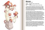  character_profile english hard_translated kenkou_cross matango monster_girl monster_girl_encyclopedia mushroom mushroom_girl nude official_art translated 