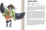  black_hair blush character_profile crow_tengu english feathered_wings feathers hard_translated harpy hat kenkou_cross monster_girl monster_girl_encyclopedia official_art pointy_ears red_eyes skirt solo tengu tokin_hat translated wings 