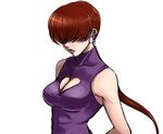  artist_request breasts brown_hair cleavage female game king_of_fighters kof shermie snk 
