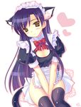  animal_ears apron between_thighs black_legwear blue_hair blush bottomless bow bowtie breasts cat_ears cleavage cleavage_cutout embarrassed frills headdress heart idolmaster idolmaster_(classic) idolmaster_1 kisaragi_chihaya long_hair maid mame-p paw_print purple_hair ribbon signature simple_background sitting small_breasts solo thighhighs v_arms yellow_eyes 