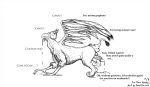  2018 anus avian balls buttface dialogue drooling eyewear feline feral glasses gryphon lion male mammal masturbation monochrome orgasm penile_masturbation penis postalroo saliva signature simple_background text transformation udtf what white_background why wings 