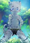  blue_eyes briefs bulge child clothing cub cubboard felid forest fur grin male mammal navel nipples outside pantherine pink_nose public smile solo tiger tree underwear white_fur young 