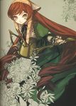  absurdres brown_hair dress drill_hair flower heterochromia highres long_hair looking_at_viewer rozen_maiden scan solo suiseiseki very_long_hair wada_aruko watering_can 