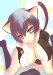  animal_ears blue_eyes blue_hair breasts cat_ears cat_tail cleavage covered_nipples kneehighs large_breasts no_panties persona persona_4 sakurasawa_yukino school_uniform shirogane_naoto short_hair smile socks solo tail unbuttoned yasogami_school_uniform 