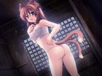  1girl animal_ears ass bell breasts cat_ears catgirl collar deredere fundoshi game_cg sarashi solo thong wet 