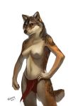  2015 anthro black_fur breasts brown_fur canid canine canis clothed clothing female fur grey_fur hand_on_hip loincloth mammal navel signature simple_background solo standing tan_fur topless trunorth underwear white_background white_fur wolf yellow_eyes 