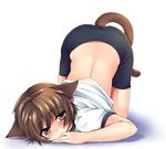  androgynous animal_ears bike_shorts blush bob_cut brown_eyes brown_hair cat_ears gym_uniform little_busters! male_focus masayu naoe_riki shadow solo tail top-down_bottom-up 