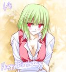  bad_id bad_pixiv_id blush breasts cleavage crossed_arms green_hair happy_birthday kazami_yuuka large_breasts leaning_forward red_eyes shiren_(monochrome_structure) smile solo touhou upper_body vest 