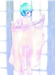  ayanami_rei blue_hair duplicate jpeg_artifacts mikimoto_haruhiko neon_genesis_evangelion nude see-through solo window 