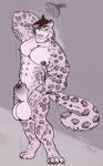  anthro balls big_balls big_sheath felid looking_at_viewer male mammal muscular muscular_male nude pantherine pecs shower smile snow_leopard solo standing tilionmaia 