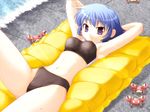  :3 armpits arms_up bikini blue_hair breasts crab crustacean game_cg hello_world. kinriki_mantou medium_breasts purple_eyes sasagase_kaoru short_hair smile solo swimsuit water 