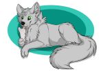  2015 big_tail black_nose bone canid canine canis chest_tuft digital_media_(artwork) ear_tuft feral fur green_eyes hair horo321 licking lying male mammal paws sangen simple_background smile solo toes tongue tongue_out tuft white_background white_fur wolf 