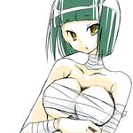  bad_id bad_pixiv_id breasts copyright_request green_hair large_breasts looking_at_viewer lowres pochi_(pochi-goya) short_hair sketch solo yellow_eyes 
