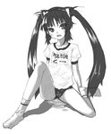  animal_ears blush buruma greyscale gym_uniform kooh long_hair monochrome pangya pee peeing peeing_self socks solo twintails yada_ei 