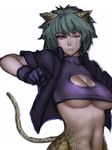  animal_ears breasts cat_ears cleavage cleavage_cutout copyright_request fang fumio_(rsqkr) green_hair large_breasts one-eyed scar scar_across_eye short_hair solo tail underboob 