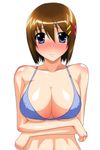  bikini_top blue_eyes blush breasts brown_hair cleavage hair_ornament huge_breasts lyrical_nanoha mahou_shoujo_lyrical_nanoha_strikers short_hair solo x_hair_ornament yagami_hayate yuuki1103 