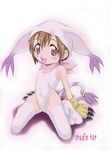  blush brown_hair cosplay digimon digimon_adventure gloves leotard paws sitting solo studio_tar tail tailmon tailmon_(cosplay) thighhighs white_legwear white_leotard yagami_hikari 