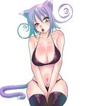  animal_ears blair bra cat_ears harukaumedaya lingerie lowres oekaki panties purple_hair solo soul_eater tail thighhighs underwear underwear_only yellow_eyes 