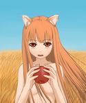  animal_ears apple field food fruit holding holding_food holding_fruit holo long_hair nude red_eyes solo spice_and_wolf towamin 