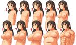  breasts brown_eyes brown_hair bust_chart chart comparison curvy fat flat_chest large_breasts long_hair muscle navel nipples nude smile 