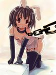  animal_ears black_hair bunny_ears bunny_tail chain collar dress elbow_gloves error garter_belt gloves inaba_tewi leash pov red_eyes short_hair solo tail thighhighs touhou 