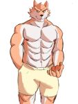  abs anthro beans bulge canid canine canis claws clothed clothing domestic_dog fur hi_res male mammal muscular muscular_male navel nipples paws radcanine rai(radcanine) shorts solo topless 