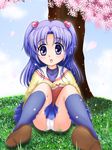  artist_request blue_eyes blue_hair book cherry_blossoms clannad hikarizaka_private_high_school_uniform ichinose_kotomi kneehighs panties pantyshot school_uniform shoes socks solo spread_legs two_side_up underwear 