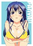  arin artist_request bikini blue_hair blush breast_squeeze breasts cleavage huge_breasts pangya purple_eyes smile solo swimsuit 