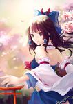  alternate_color back brown_hair cherry_blossoms choker detached_sleeves hair_ornament hair_ribbon hakurei_reimu looking_back multicolored multicolored_eyes nataku39 petals red_choker ribbon solo torii touhou white_sleeves wide_sleeves 