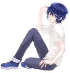  androgynous blue_eyes blue_hair cabbie_hat hat humio_(oriba) persona persona_4 reverse_trap school_uniform shirogane_naoto short_hair solo 