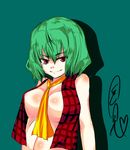  ascot bad_id bad_pixiv_id between_breasts breasts green_hair kazami_yuuka kuze large_breasts short_hair sideboob solo touhou 