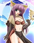  absurdres animal_ears blue_eyes blush breasts cat_ears cleavage elbow_gloves gloves highres large_breasts mage_(ragnarok_online) panties pelvic_curtain purple_hair ragnarok_online solo staff tomoya_kankurou underwear 