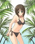  bare_arms bikini brown_hair green_eyes original side-tie_bikini solo swimsuit takeki_(nibelungen) 