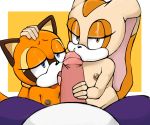  absurd_res anthro cream_the_rabbit cub digital_media_(artwork) duo erection eulipotyphlan fellatio female fur group hi_res humanoid_penis lagomorph mammal marine_the_raccoon nipples nude open_mouth oral penis procyonid raccoon sex simple_background sin-buttons_(artist) sonic_(series) young 