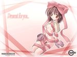  acolyte brown_hair gift ishihara_masumi nude ragnarok_online ribbon short_hair smile solo wallpaper 