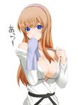  blue_eyes breasts brown_hair cleavage dead_or_alive dougi hitomi_(doa) large_breasts long_hair no_bra sash solo undressing 