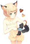  animal_ears blonde_hair cat_ears copyright_request green_eyes hair_brush miyata_souji solo tail whiskers 