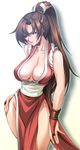  bad_id bad_pixiv_id breasts bridal_gauntlets brown_eyes brown_hair cleavage fatal_fury hand_on_hip kira_keita large_breasts loincloth long_hair no_bra no_panties pelvic_curtain ponytail rope shiranui_mai solo the_king_of_fighters wristband 