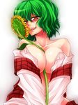  bare_shoulders between_breasts blush breasts cleavage flower green_hair kazami_yuuka large_breasts mokku naughty_face open_clothes open_shirt red_eyes shirt short_hair solo sunflower tongue touhou 