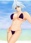  bikini christie christie_(doa) dead_or_alive short_hair swimsuit tecmo white_hair 