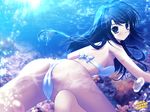  bikini blue_eyes blue_hair blush bow from_behind highres long_hair looking_back mikeou smile_summer_again solo spread_legs swimsuit underwater 