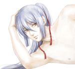 armpits brown_eyes collarbone hand_on_head houjyoh long_hair looking_at_viewer macross macross_frontier male_focus nipples saotome_alto silver_hair simple_background solo white_background 
