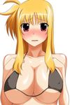  bikini bikini_top blonde_hair blush breasts fate_testarossa huge_breasts long_hair lyrical_nanoha mahou_shoujo_lyrical_nanoha red_eyes solo swimsuit yuuki1103 