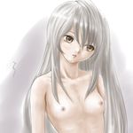  brown_eyes copyright_request flat_chest long_hair lowres nipples nude rasukaru silver_hair solo 