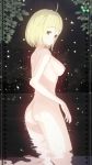  1girl 3d arcueid_brunestud breasts highres illusion illusion_soft koikatsu koikatu looking_at_viewer nipples nude short_hair tsukihime 